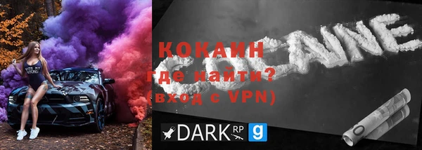 прущие грибы Гусиноозёрск