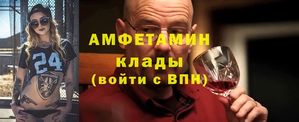 прущие грибы Гусиноозёрск