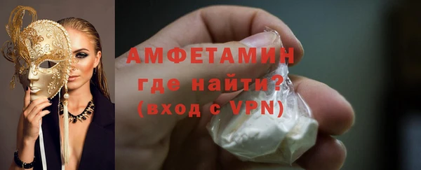 прущие грибы Гусиноозёрск