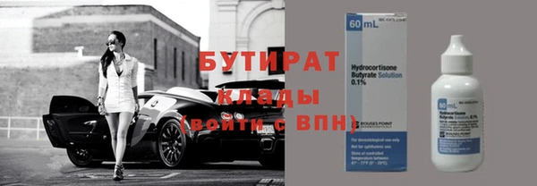 прущие грибы Гусиноозёрск