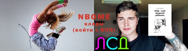 прущие грибы Гусиноозёрск