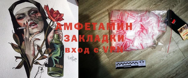 прущие грибы Гусиноозёрск