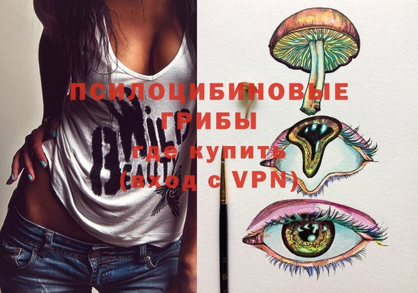 прущие грибы Гусиноозёрск