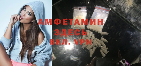 прущие грибы Гусиноозёрск