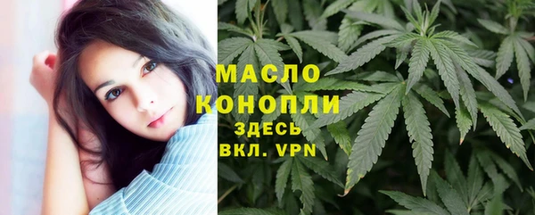 прущие грибы Гусиноозёрск