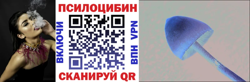 Галлюциногенные грибы Cubensis  купить наркотик  Чухлома 