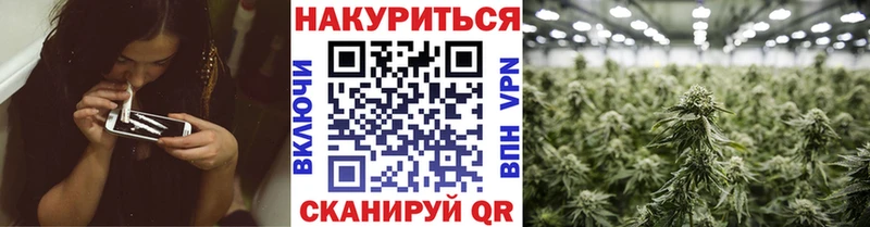Шишки марихуана индика  магазин продажи наркотиков  Чухлома 